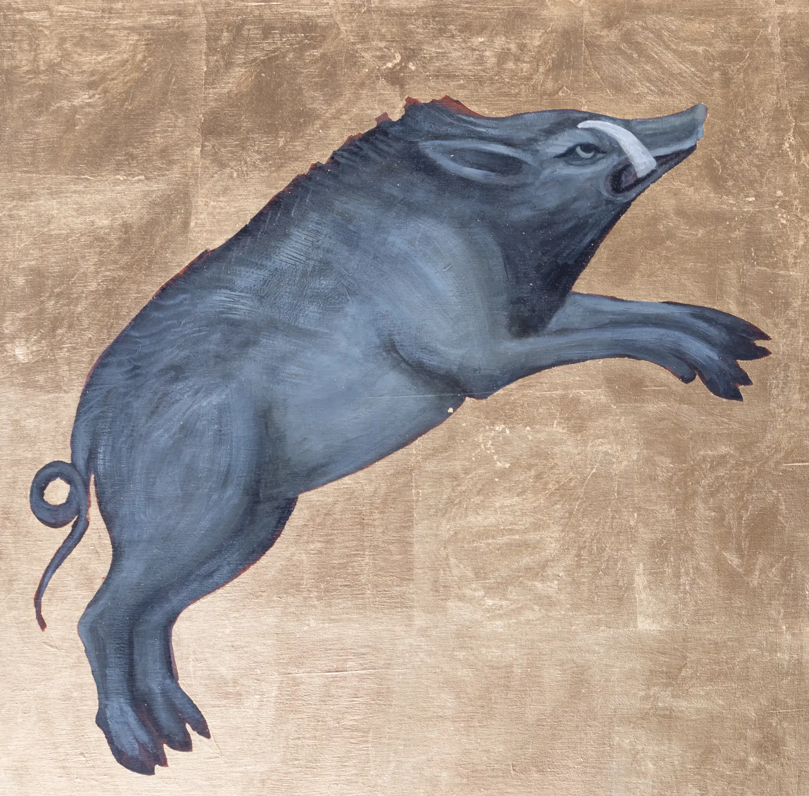 Boar
